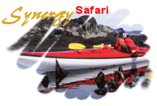 SYNERGYSafari